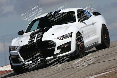 media/Mar-31-2024-Speed Ventures (Sun) [[a3b2bf813d]]/Purple/Session 2 (Grapevine)/